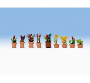 Noch 14080 - Sierplanten in bloempotten